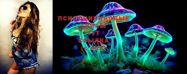 2c-b Алексеевка