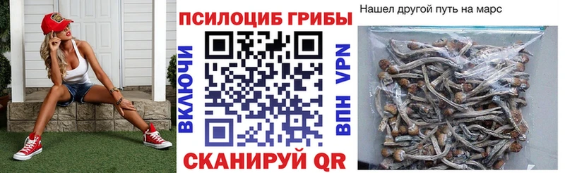 Галлюциногенные грибы мухоморы  Юрьевец 